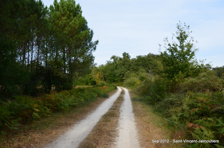 Promenade aux alentours du village - Saint-Vincent-Jalmoutiers