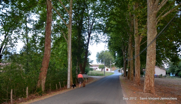 Promenade aux alentours du village - Saint-Vincent-Jalmoutiers
