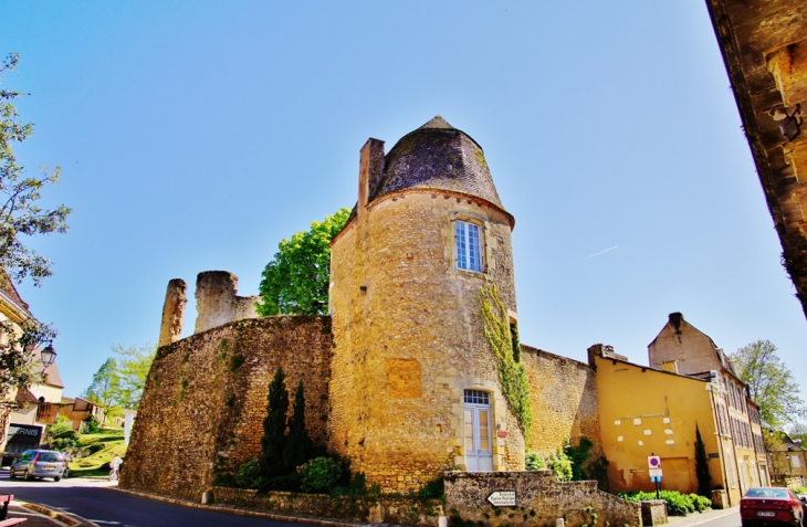 Château  - Sainte-Alvère