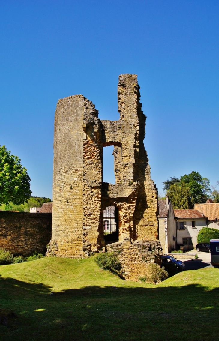 Château ( ruines ) - Sainte-Alvère