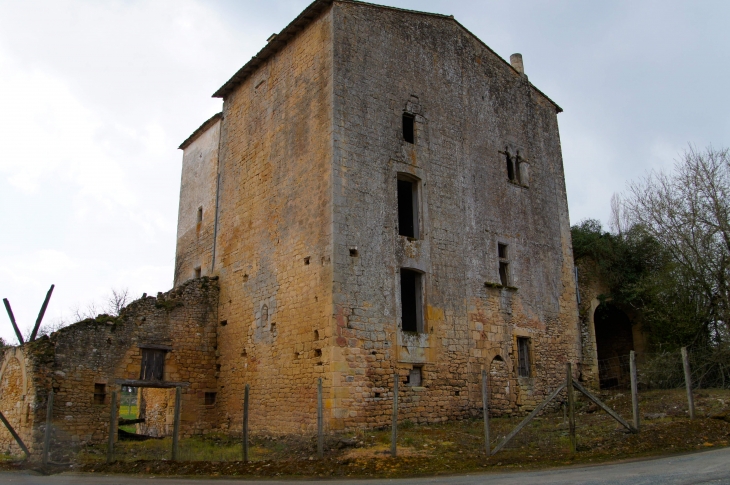 Ruines de la Maison du Prieur, construite au début du XIVe siècle à la demande du prieur de saint-Avit-Sénieur. - Sainte-Croix