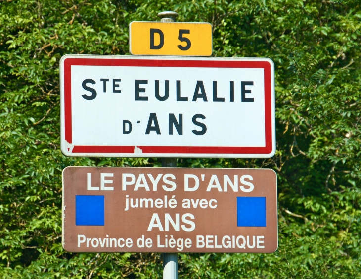 Autrefois : Sancta Eulaha en 1120, Sainte-Eulaye au XVIe siècle, Sainte-Yolée en 1688. - Sainte-Eulalie-d'Ans
