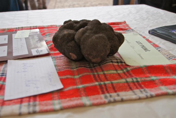 Le Festival de la Truffe. - Sarlat-la-Canéda