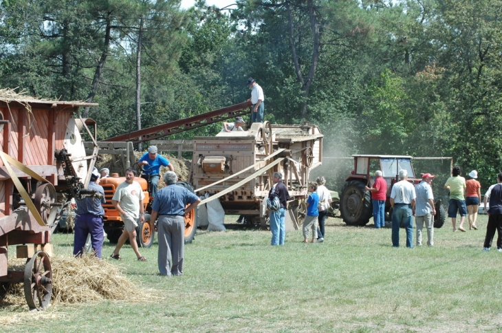 Fête des moissons - Vanxains