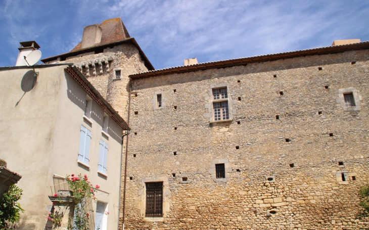 Château  - Varaignes