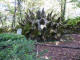 les jardins suspendus de Marqueyssac : art contemporain