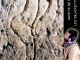 Silhouettes féminines magdaléniennes de la grotte de Fronsac