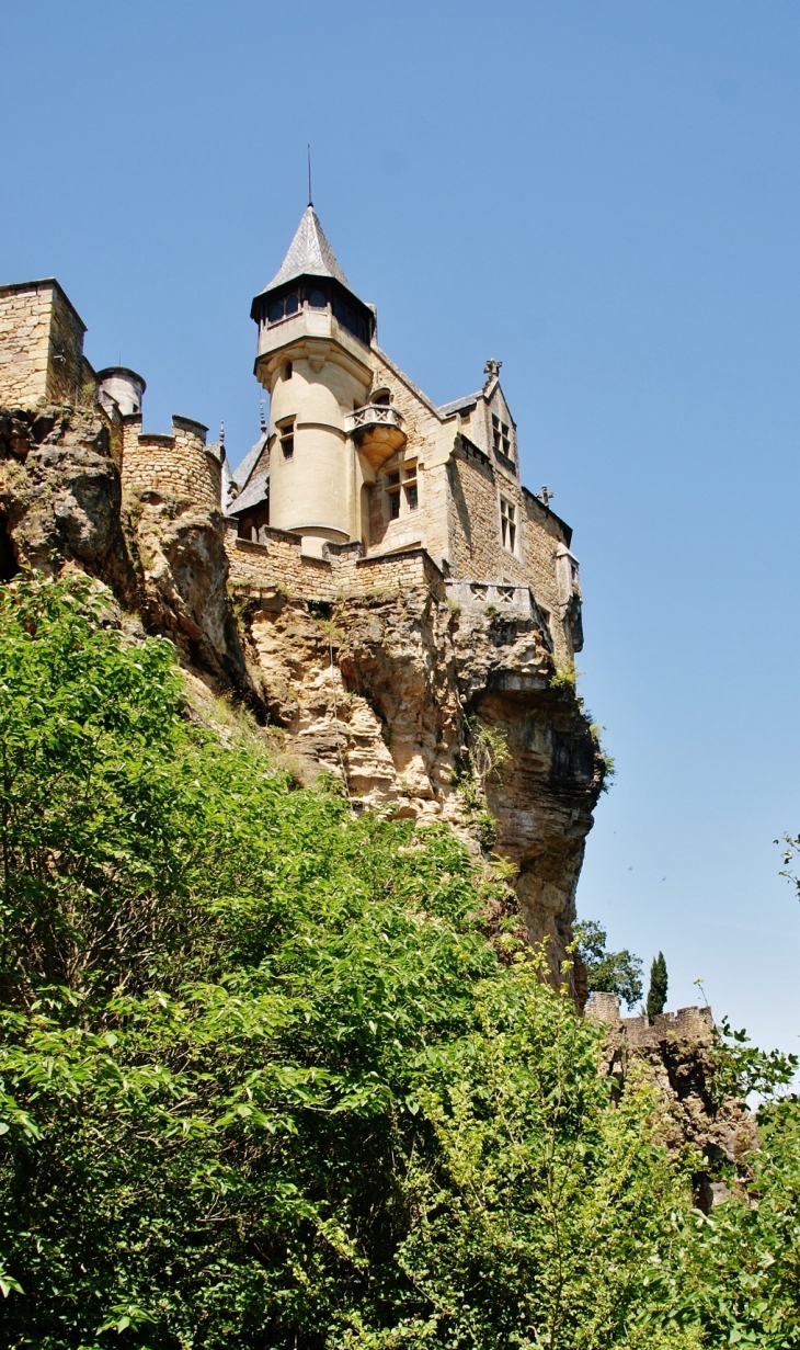 Château de Montfort ( Vitrac )