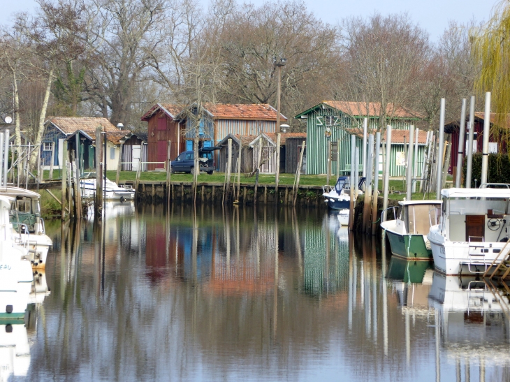 Le port de plaisance - Biganos