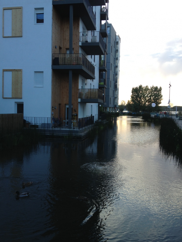 Immeuble du quartier Ginko les pieds dans l'eau. - Bordeaux