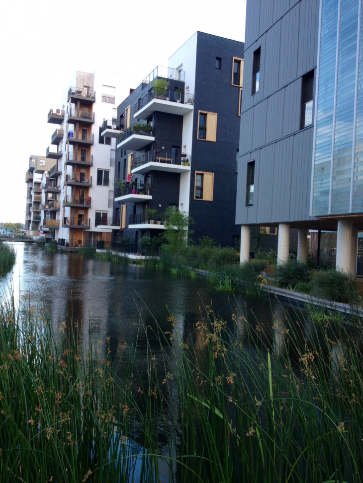 Immeubles du quartier Ginko les pieds dans l'eau. - Bordeaux