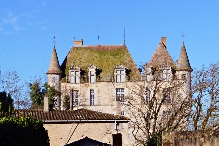 Le château Hamel. - Castets-en-Dorthe