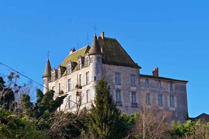 Le Château de Hamel. - Castets-en-Dorthe