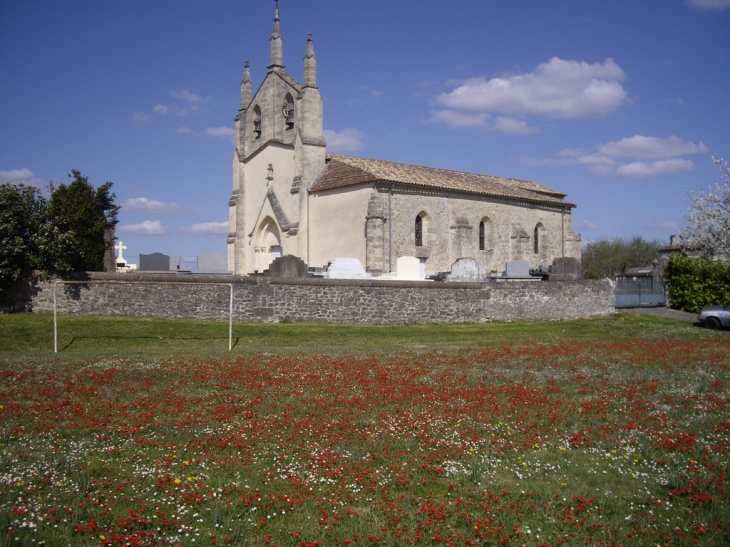 L'église 16/17ème derrière le terrain de foot fleuri de paquerettes et d'anémones rouges. - Cazaugitat