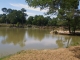 Un étang au parc de Monsalut.