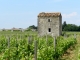 Photo suivante de Cissac-Médoc Cabane dans les vignes et le château Hanteillan