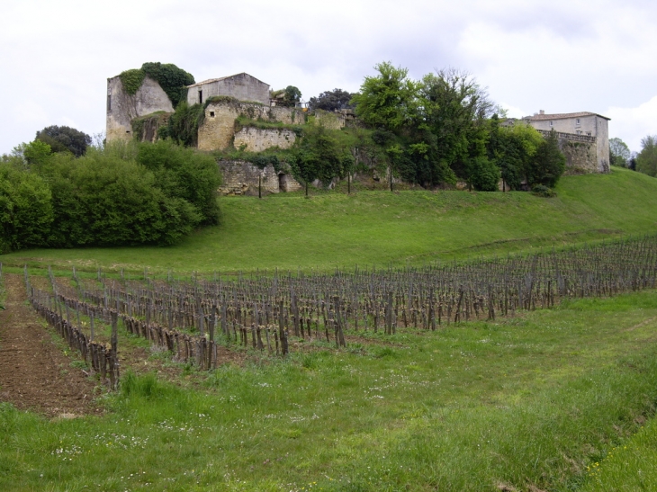 Château de la Roque de Thau. - Gauriac