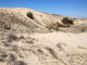 Les dunes océanes côté terre au lieu-dit Cantine Nord.