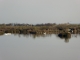 Photo précédente de Le Teich la réserve ornithologique