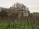 Photo suivante de Montignac L'église au milieu des vignes.