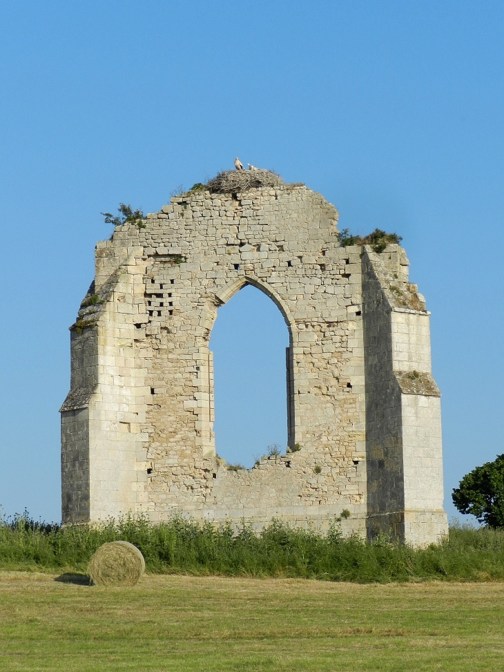 Vestiges de l'abbaye Saint-Pierre-de-l'Isle. Il subsiste aujourd’hui un pan de mur en haut duquel des cigognes ont fait leur nid. - Ordonnac