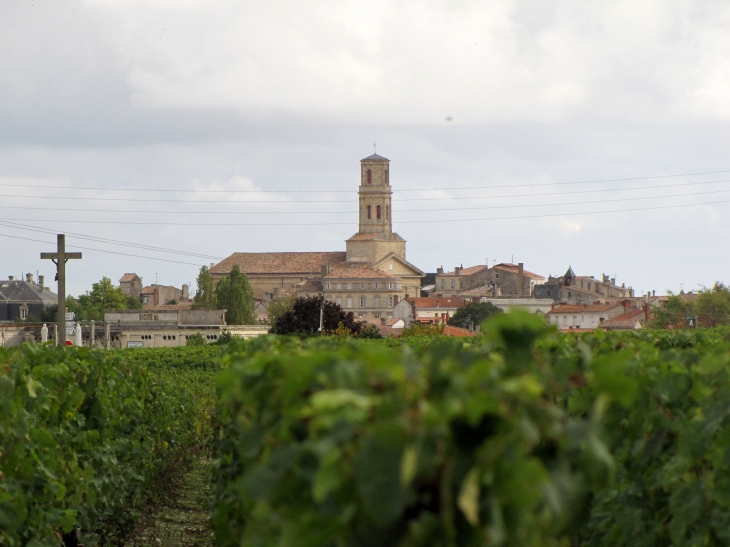 Les vignobles et l'église - Pauillac