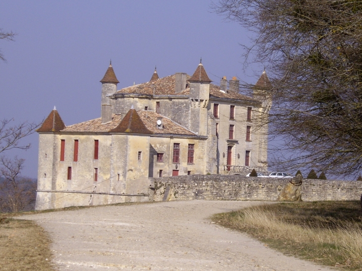Château de Monbadon 14ème (IMH). - Puisseguin