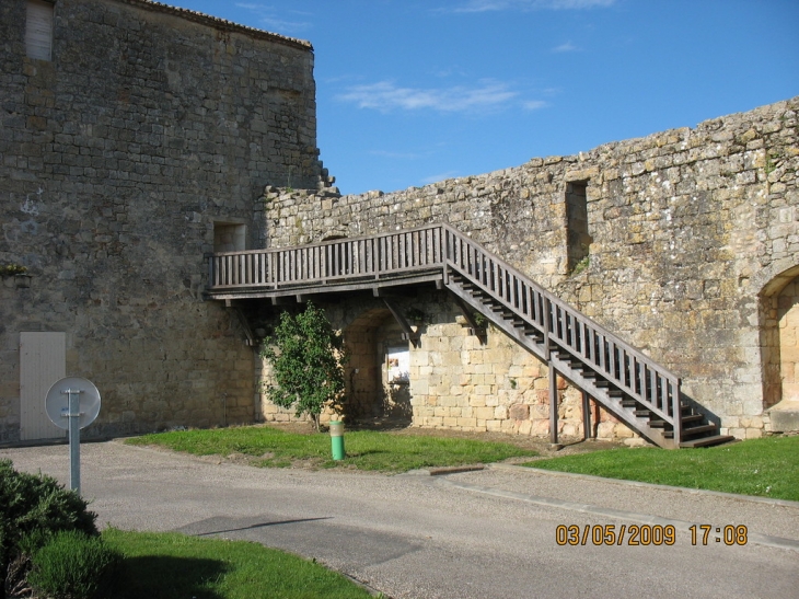 Château Templier - Pujols