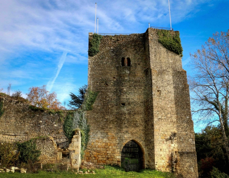 Château de Pommiers - Saint-Félix-de-Foncaude