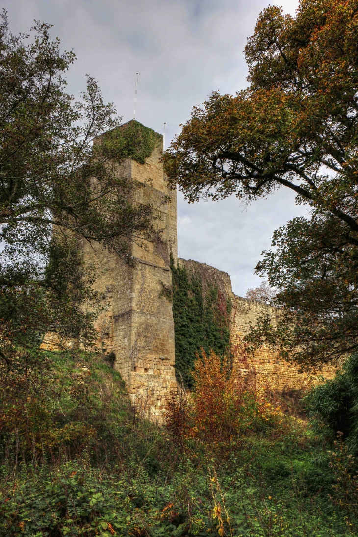 Château de Pommiers - Saint-Félix-de-Foncaude