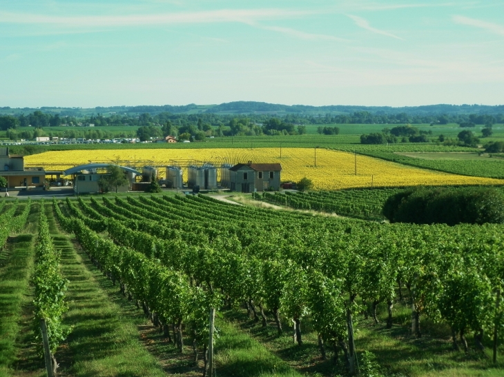 La coopérative viticole. - Saint-Pey-de-Castets