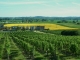 Photo suivante de Saint-Pey-de-Castets La coopérative viticole.