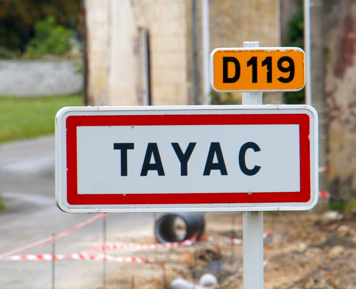 Origine du nom : de Talius, qui viendrait du gaulois  - Tayac