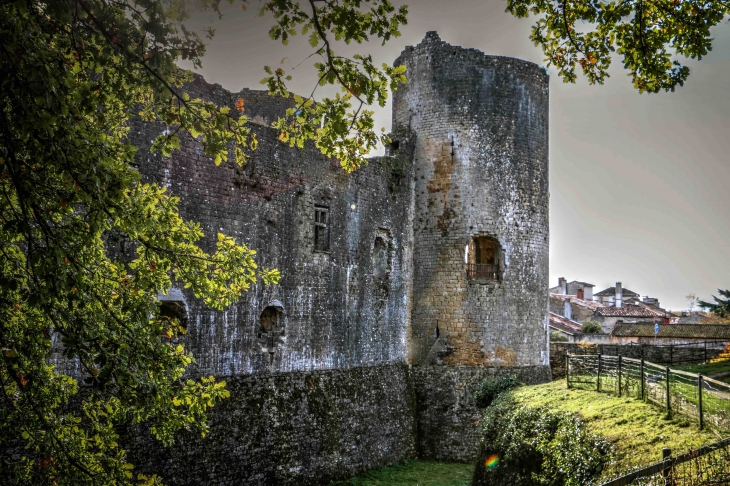 Le château de Villandraut