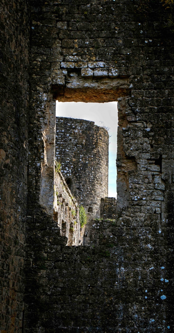 Le château de Villandraut