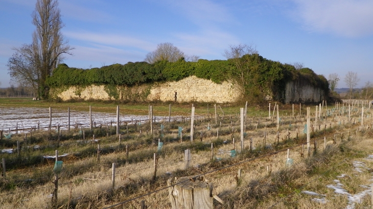 Vestiges de l'ancien château-fort de Castelmoron XIV/XVème. - Virelade