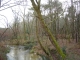 Ruisseau de 1° catégorie pour la pêche