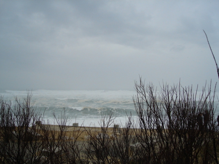 Océan à LABENNE