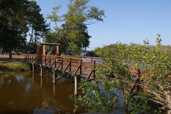 La passerelle de la promenade - Mimizan