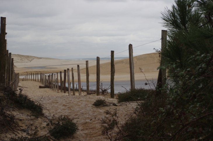 Courant d'Huchet et plage - Moliets-et-Maa