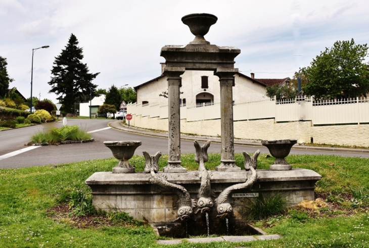 Fontaine - Orthevielle