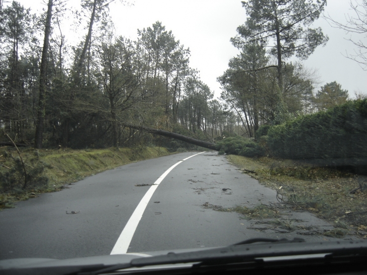 Tempête 2009 - Saint-Vincent-de-Tyrosse