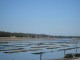 Photo précédente de Soorts-Hossegor Lac d'HOSSEGOR - marée basse