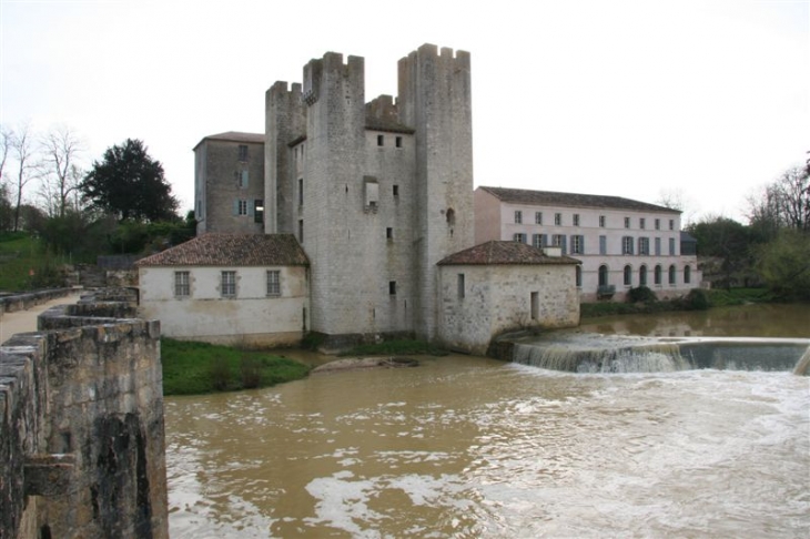 Moulin des tours ou de Henri IV - Barbaste