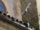 Photo suivante de Barbaste Les pigeons de l'église Notre Dame.