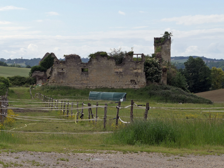 Les ruines du vieux château - Birac-sur-Trec