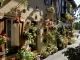 ruelle  des maisons fleuries