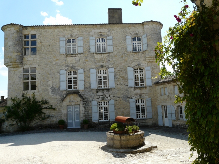 Le château  Crédit : André Pommiès - Cauzac