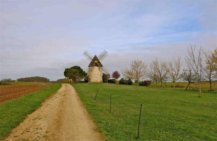 Moulin de Conté - Cauzac