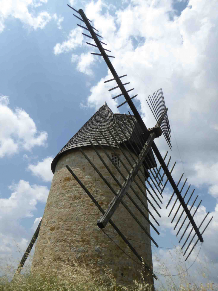 Le moulin - Cuq